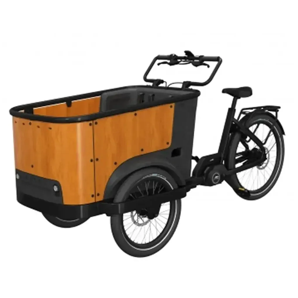 Cangoo Buckle Up - Zwart - Image 2