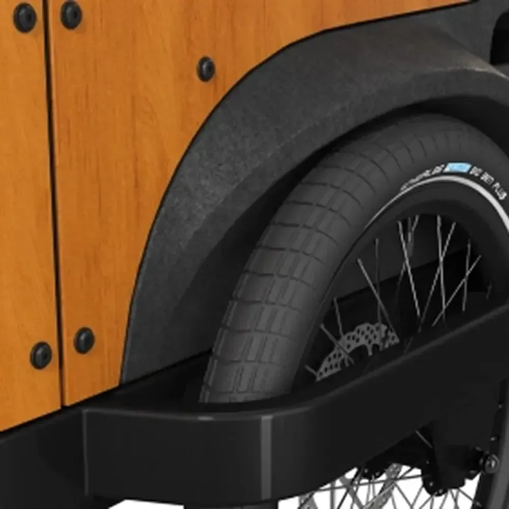 Cangoo Buckle Up - Zwart - Image 5