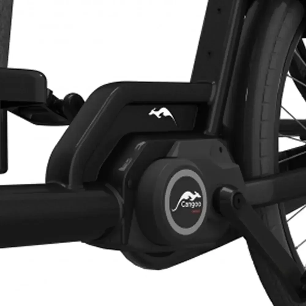 Cangoo Buckle Up - Zwart - Image 6
