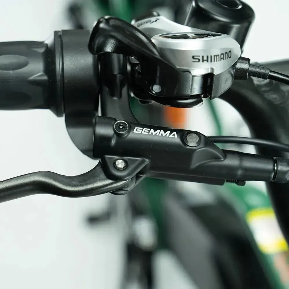JOBOBIKE Transer - Longtail - Groen - Image 7