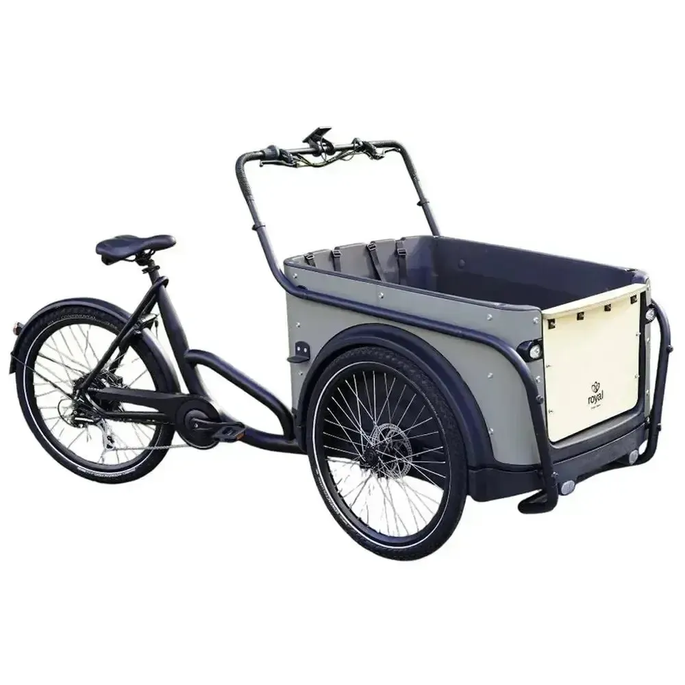 Royal Cargo Bike 3W Eco - Grijs