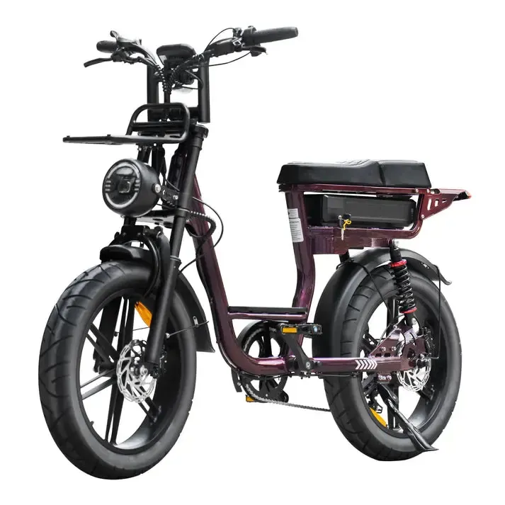 V20 Comfort - Paars